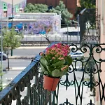 Sunny With Terrace.river View! Lejlighed *
